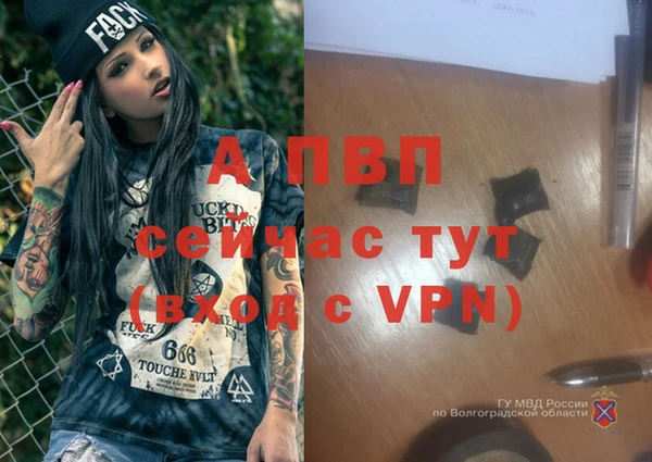 mdpv Алзамай
