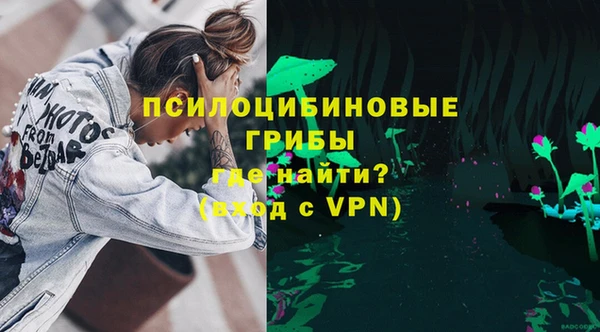 прущие грибы Алексеевка