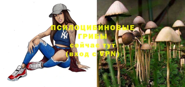mdpv Алзамай